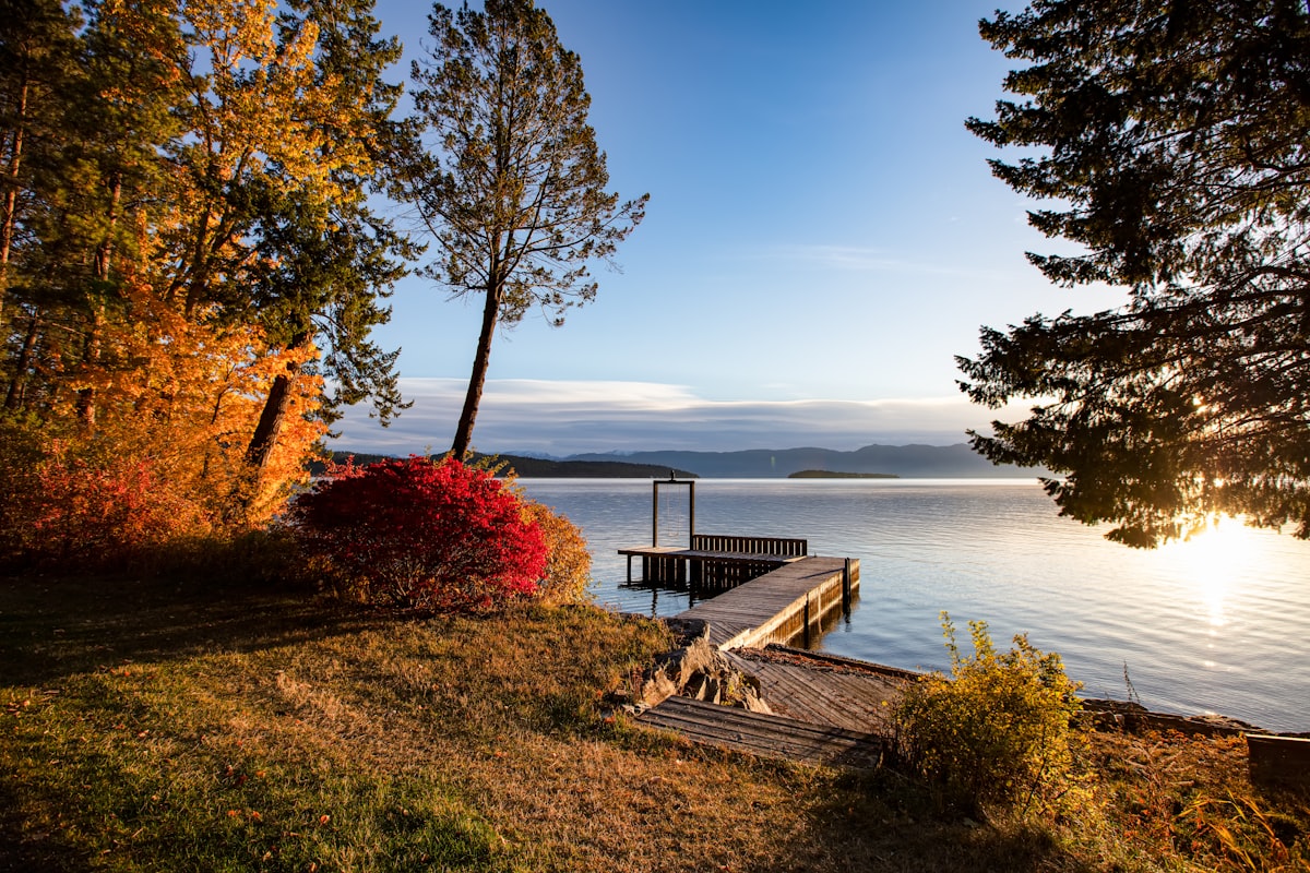 A wooden dock on a calm lake at sunrise